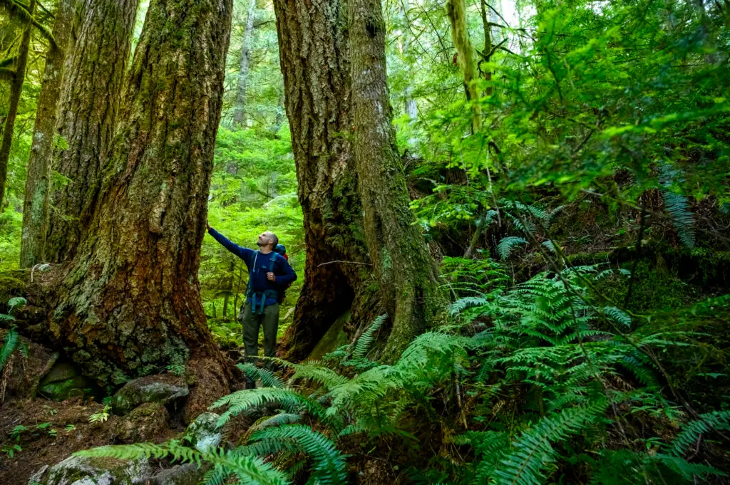 Professional retirement coaching services in Canada