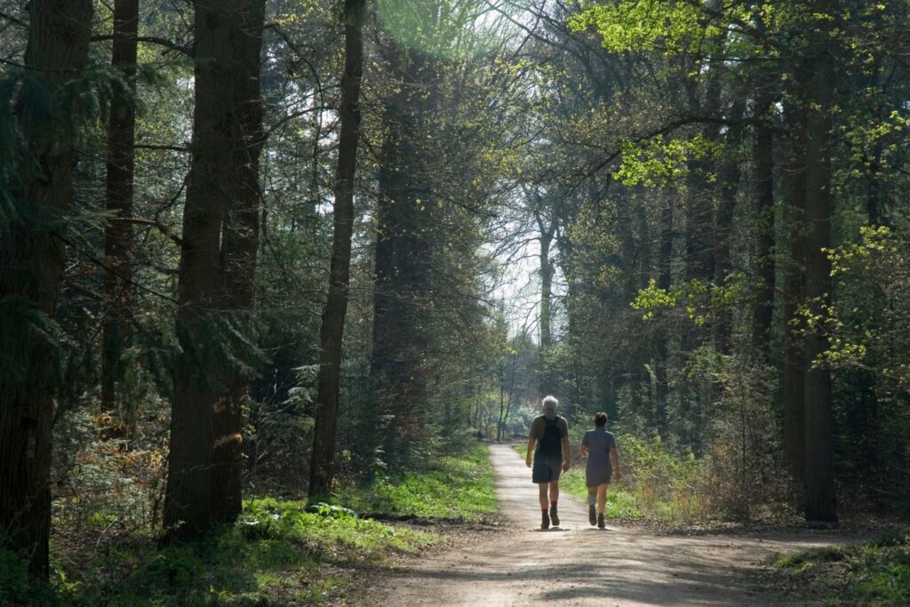 The best free retirement assessment tool for lifestyle planning. Find meaning and purpose in your post career chapter